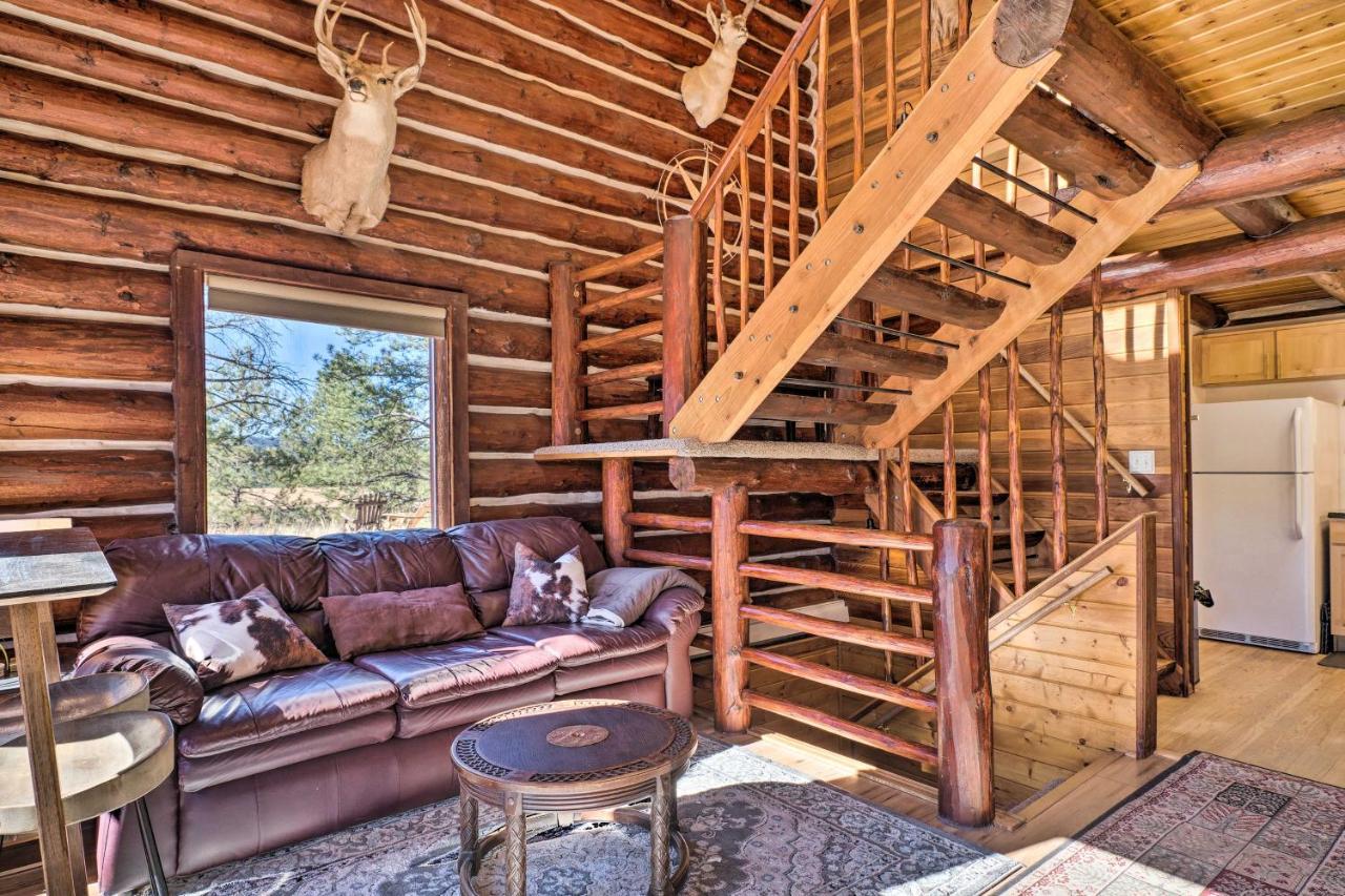 Classic Colorado Log Home With Mountain Views! Florissant Bagian luar foto